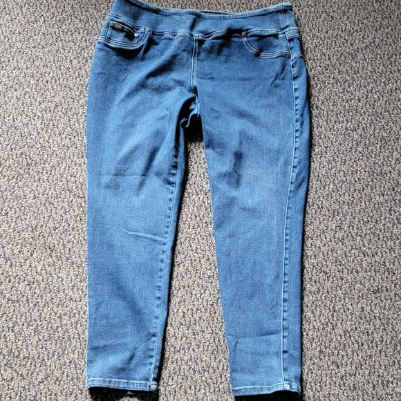 DG2 by Diane Gilman Light Wash Stretch Jeggings Size 1X - Picture 1 of 13